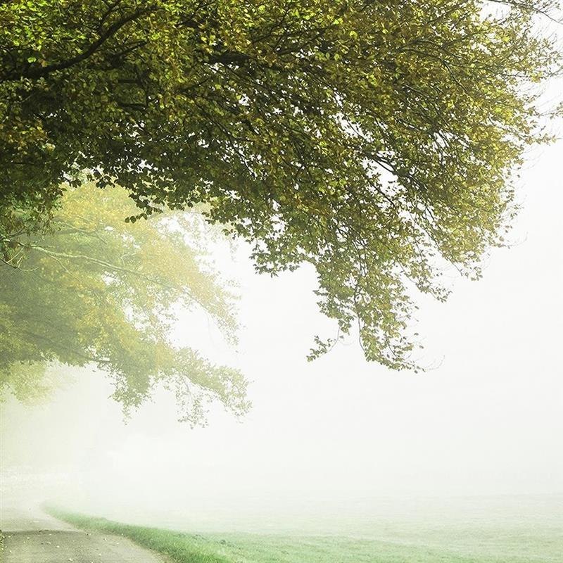 Emaga Obraz na płótnie, Okno - zamglone drzewo - 100x70